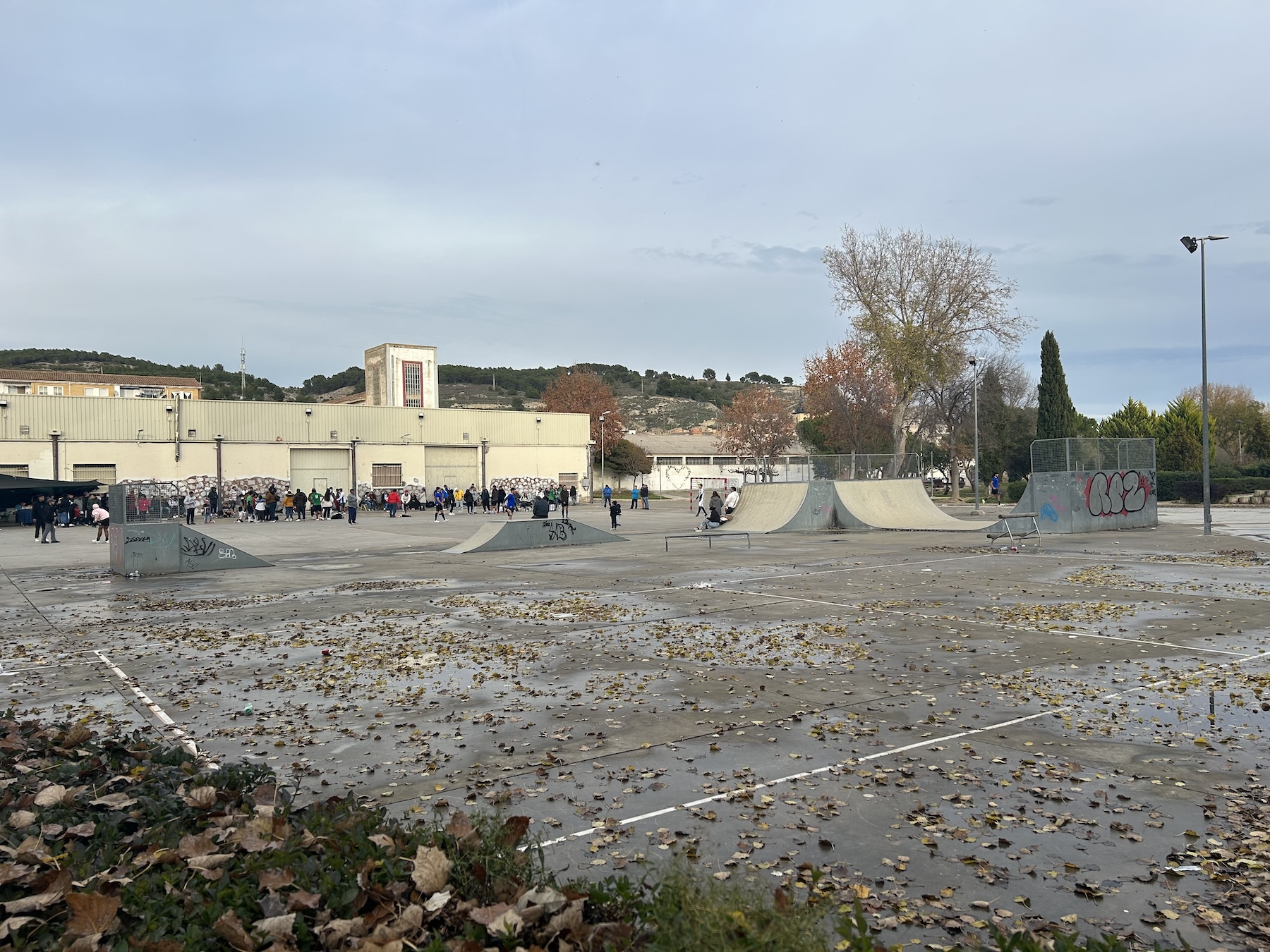 Peralta skatepark